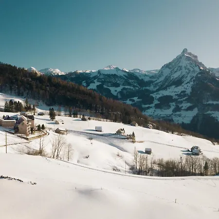 Schwendihaus Διαμέρισμα