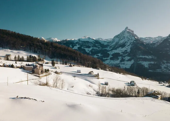 Schwendihaus Apartmán