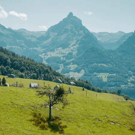 아파트 Schwendihaus 암덴