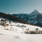 Schwendihaus 公寓